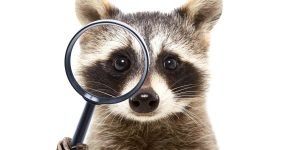 Lees meer over het artikel Framers: Wat mensen beter kunnen dan computers